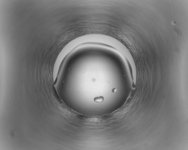 X0000116000237200912031516