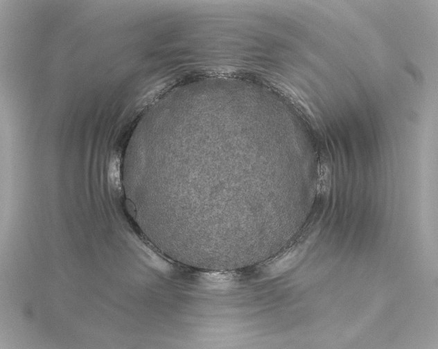 X0000116000238200912031516