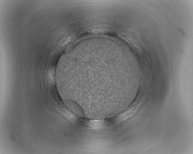 X0000116000240200912031515