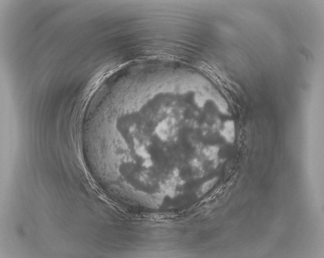 X0000116000241200912031515