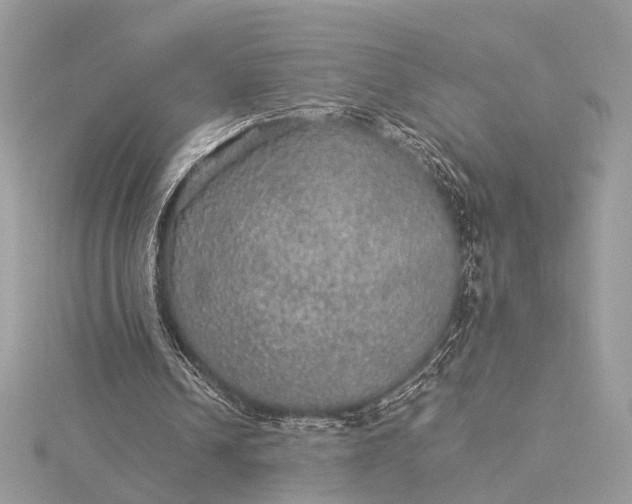 X0000116000242200912031515