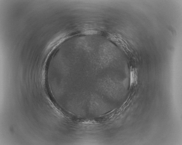 X0000116000243200912031515