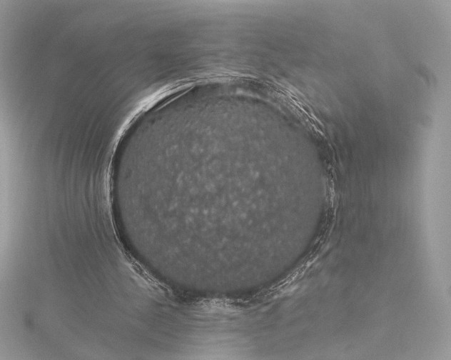 X0000116000244200912031515