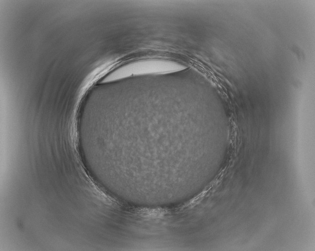 X0000116000245200912031515