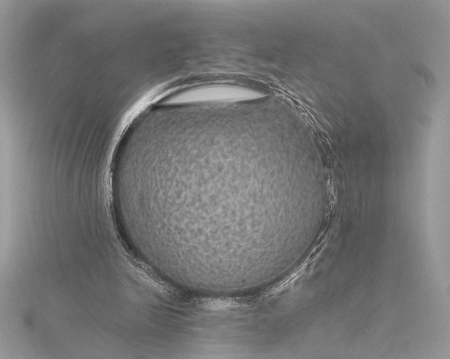 X0000116000246200912031515