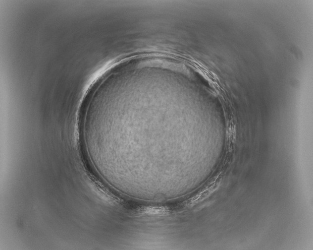 X0000116000248200912031515