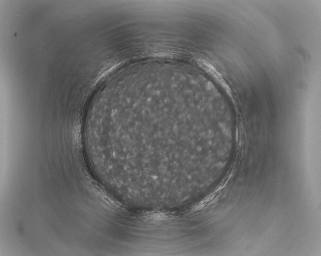 X0000116000249200912031515