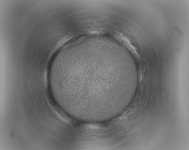 X0000116000250200912031515