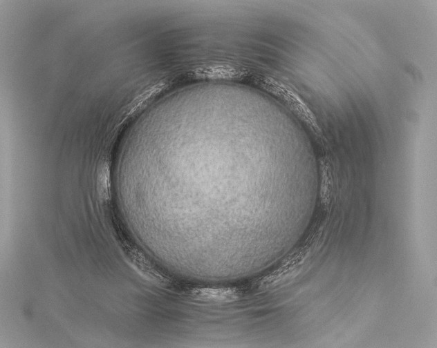 X0000116000251200912031515