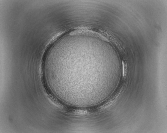 X0000116000252200912031515