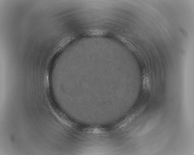 X0000116000254200912031515