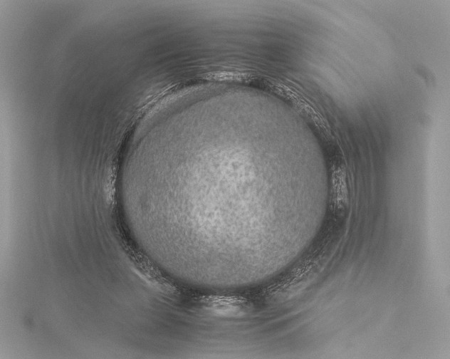 X0000116000255200912031515