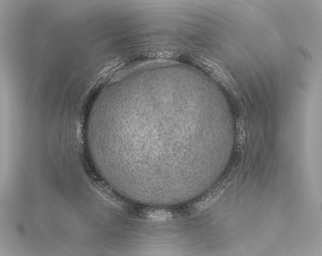 X0000116000258200912031515