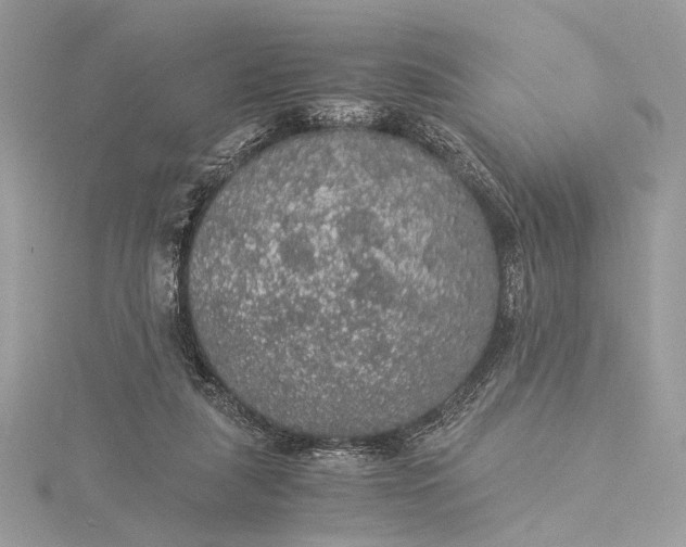 X0000116000259200912031515