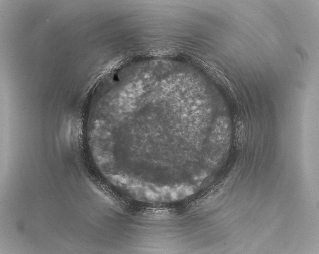 X0000116000260200912031515