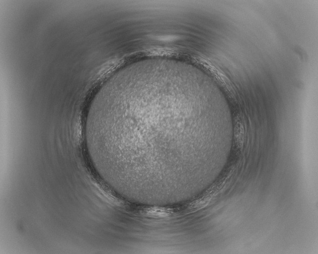 X0000116000261200912031515