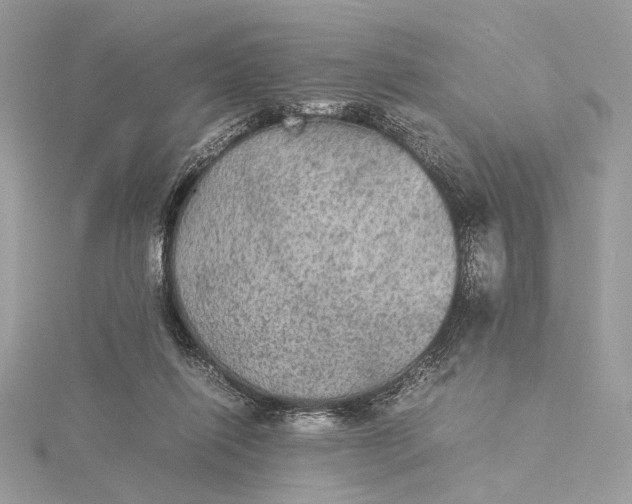 X0000116000262200912031515