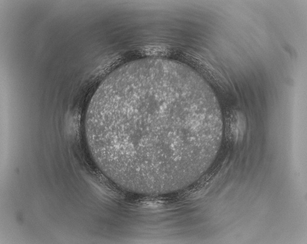 X0000116000263200912031515