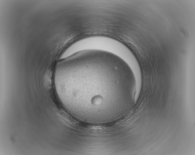 X0000116000264200912031515