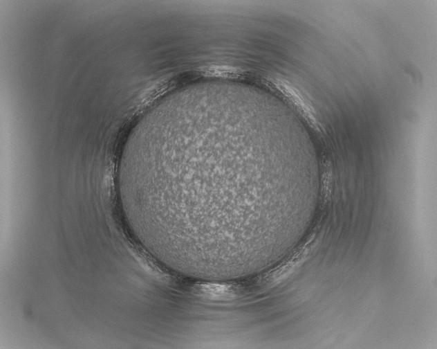 X0000116000265200912031515