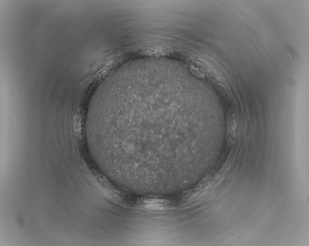 X0000116000268200912031515