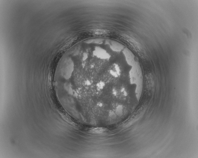 X0000116000269200912031515