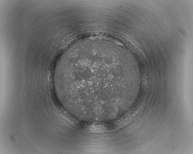 X0000116000270200912031515