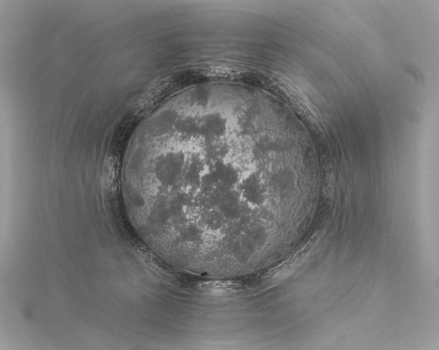 X0000116000273200912031515