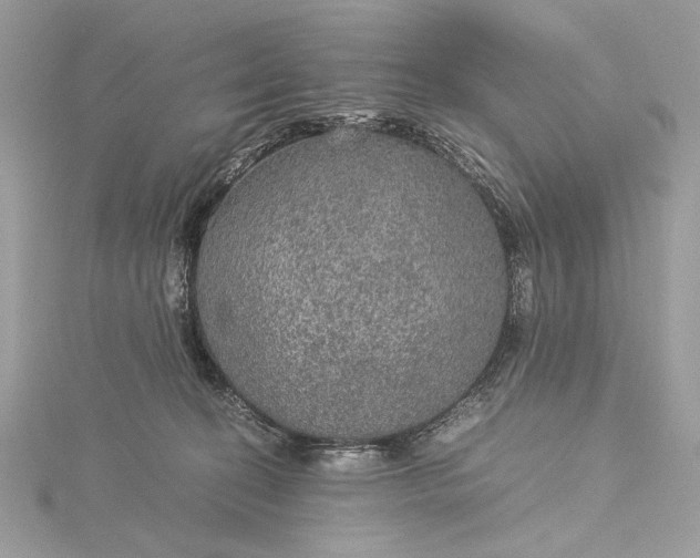 X0000116000274200912031515