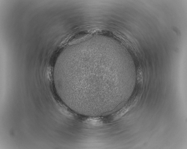 X0000116000280200912031515