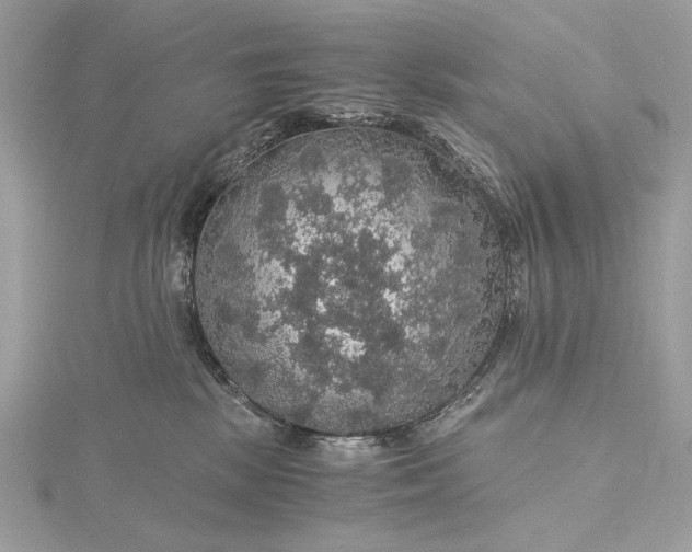 X0000116000281200912031515