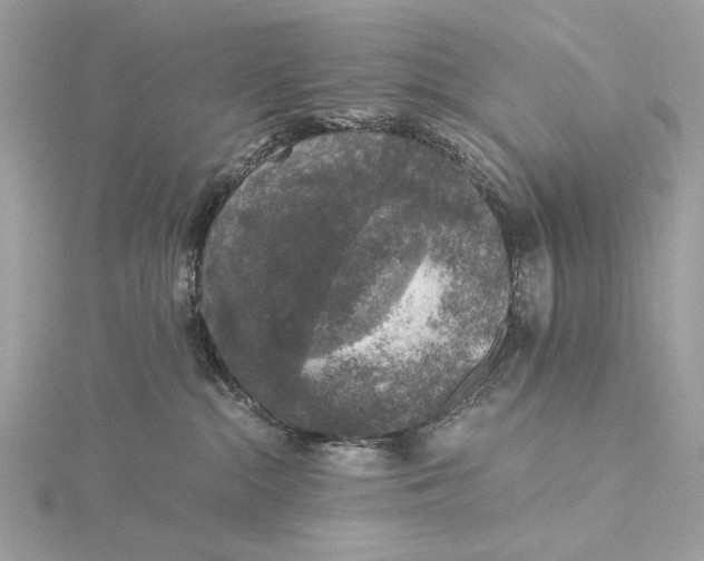 X0000116000284200912031515