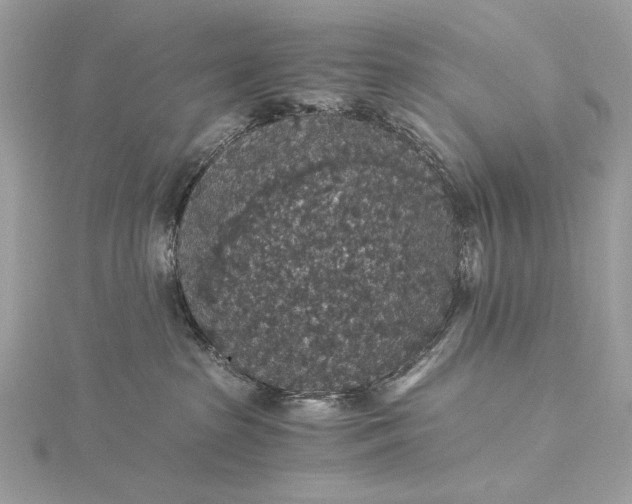 X0000116000285200912031515