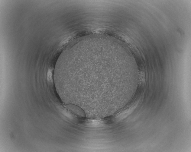 X0000116000286200912031515