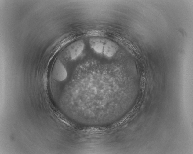 X0000116000290200912031515