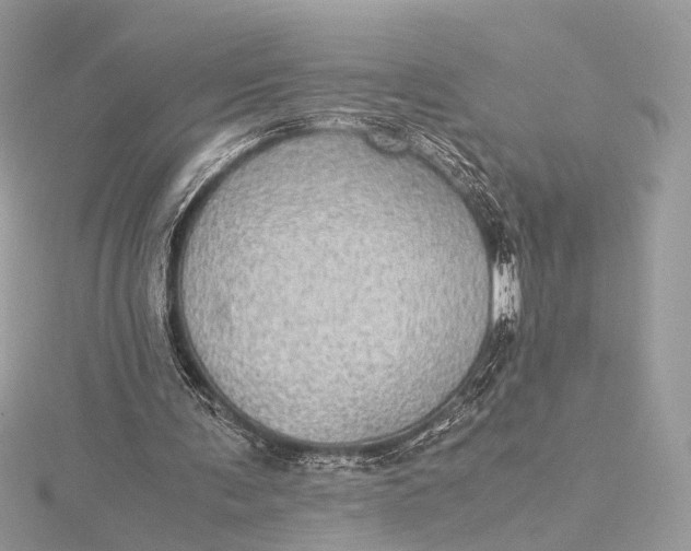 X0000116000291200912031515