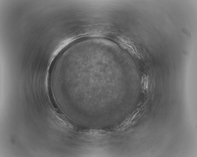 X0000116000292200912031515