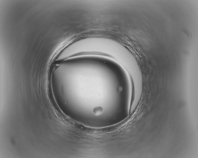 X0000116000293200912031515