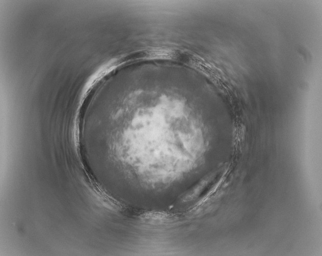 X0000116000294200912031515