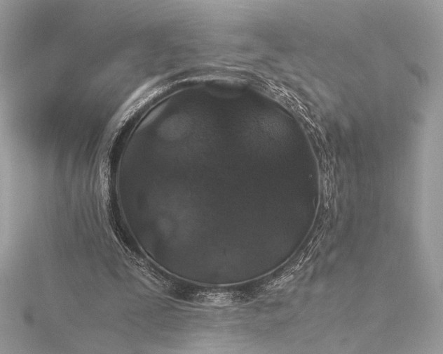 X0000116000295200912031515