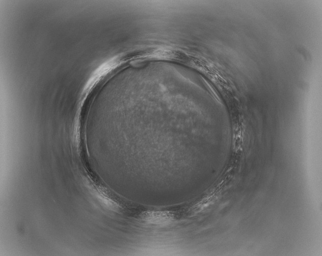 X0000116000296200912031515