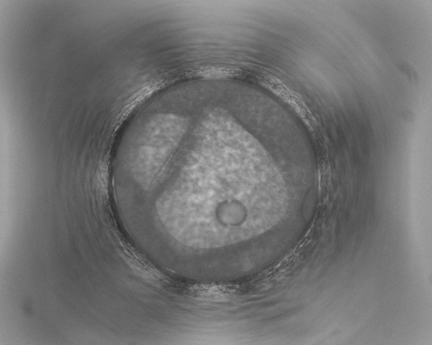 X0000116000297200912031515