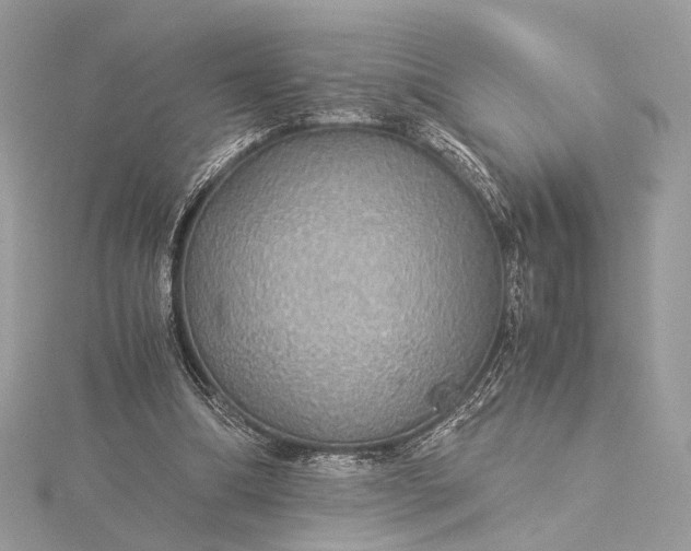 X0000116000298200912031515