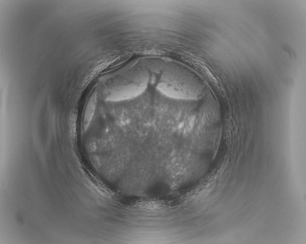 X0000116000299200912031515