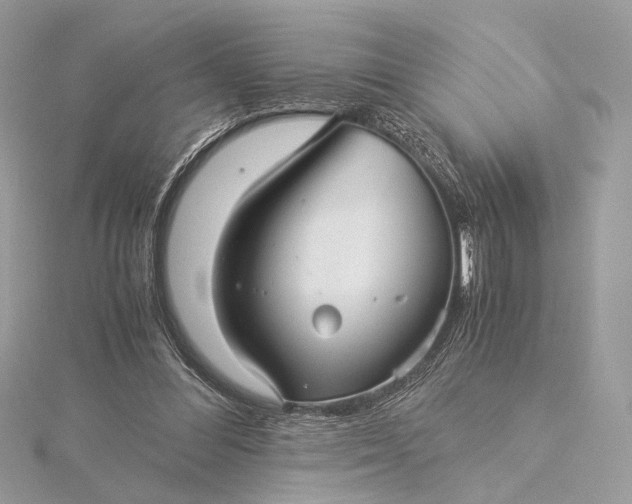 X0000116000300200912031515