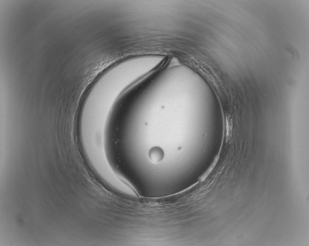 X0000116000301200912031515