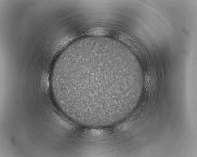 X0000116000302200912031515