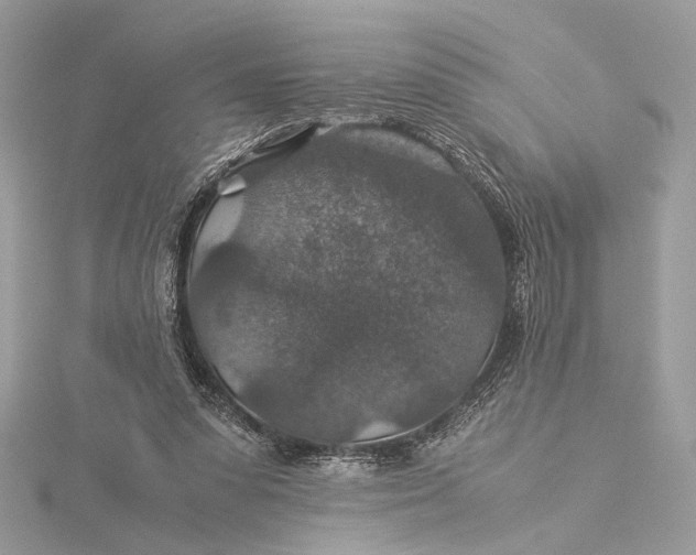 X0000116000303200912031515