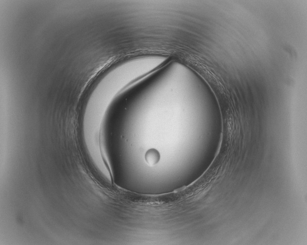 X0000116000304200912031515