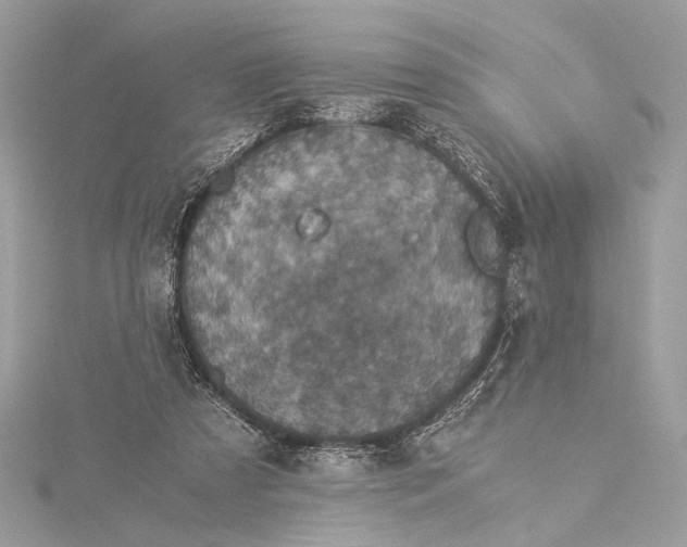 X0000116000305200912031515